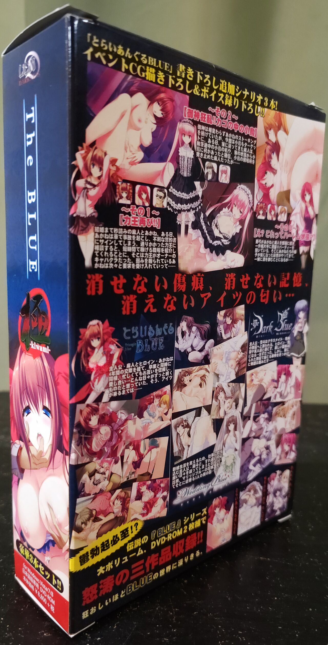 [LiLiM DARKNESS] The BLUE 極 Boxart and Manual Bildnummer 2