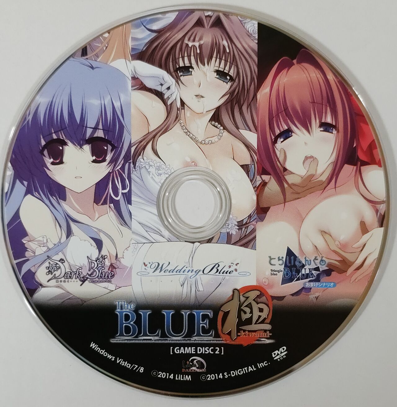 [LiLiM DARKNESS] The BLUE 極 Boxart and Manual Bildnummer 4