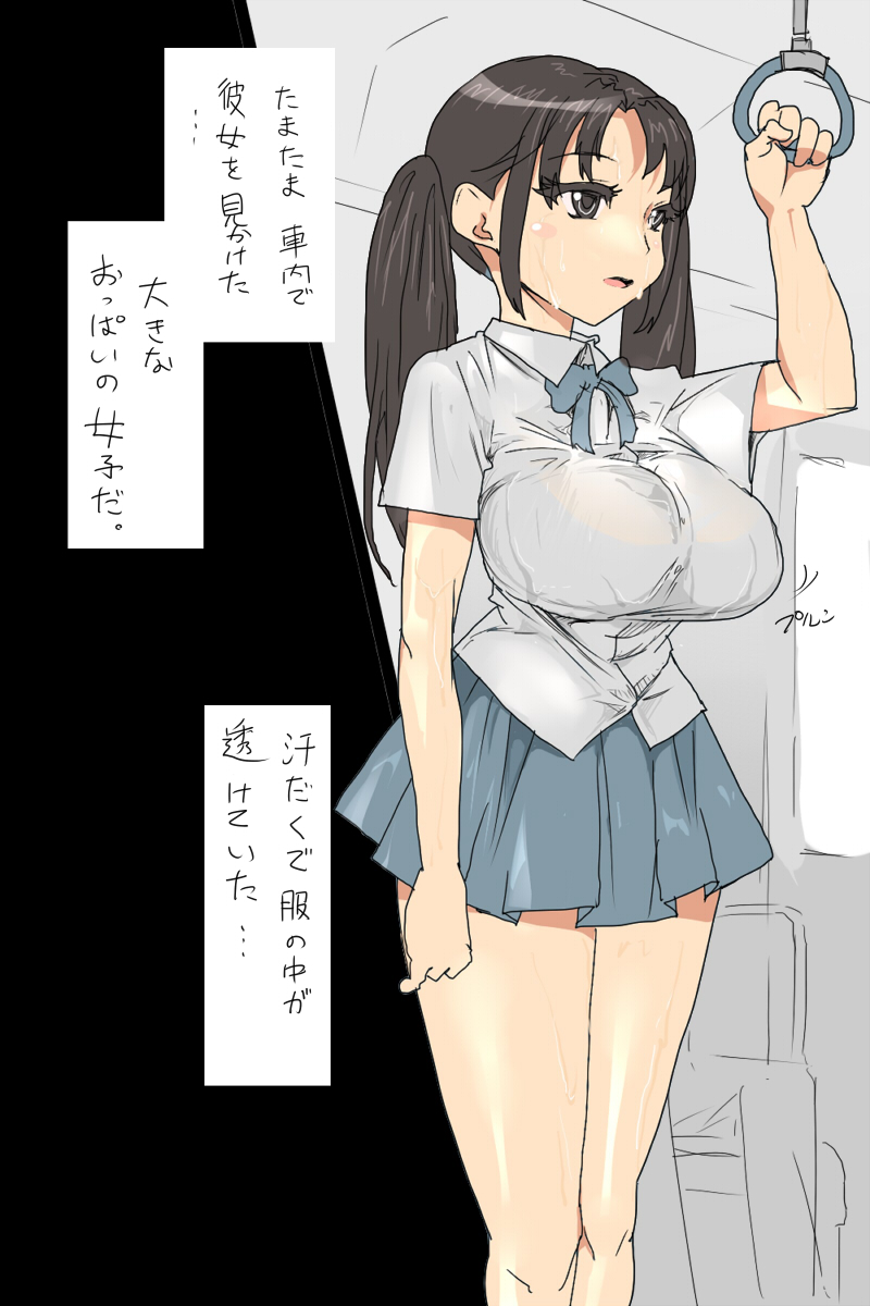 [◎るーじゅら] Sの事情 : 巨乳なJKと車内で遭遇するお話 image number 3