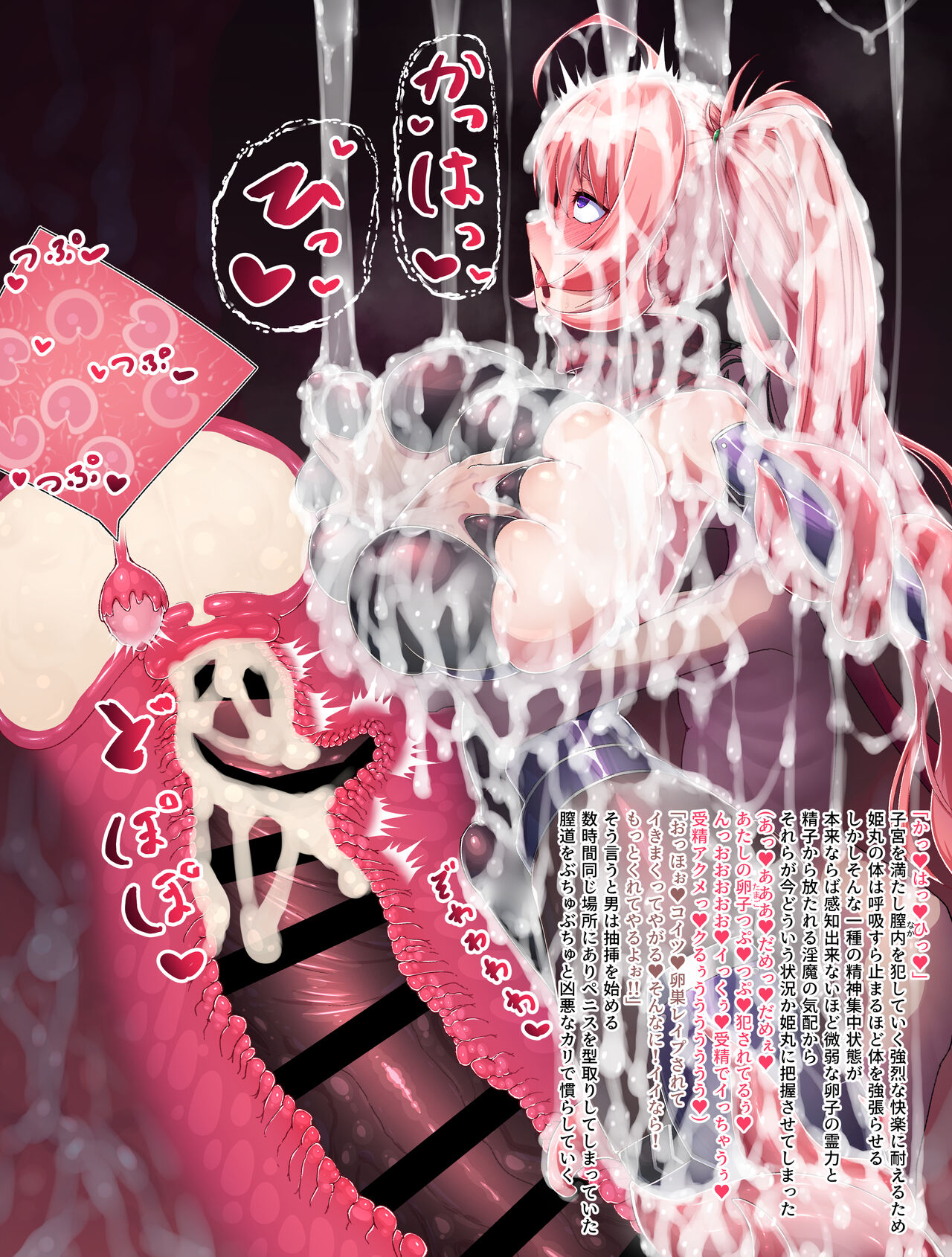 [Kemurin] Kan Ochi Zetchou Shimotsuki Himemaru | 完堕絶頂霜月姫丸 [Chinese] [护院甜菜贺拉斯·拉笛什激动汉化] 图片编号 39