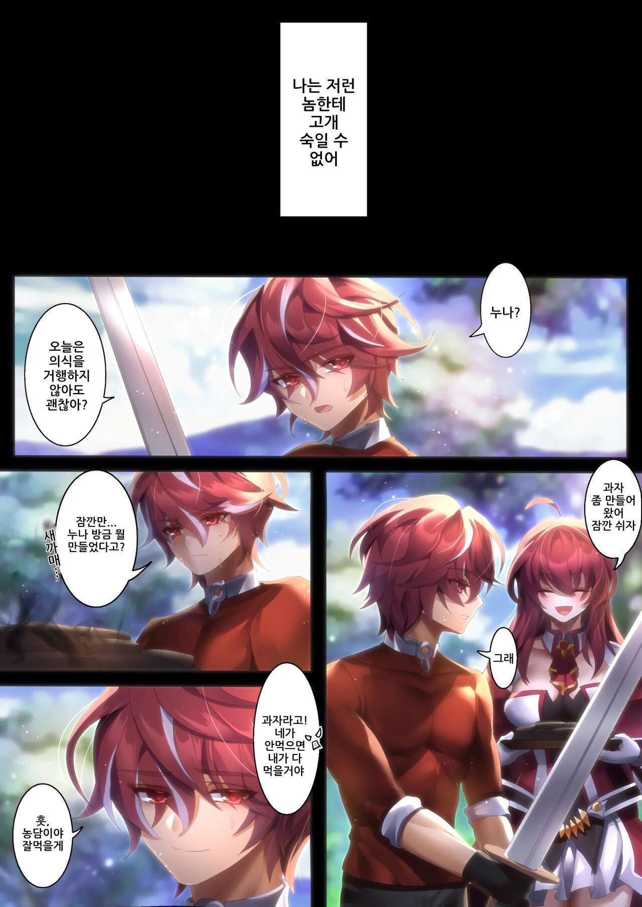 [Been] The illusion of lies(2) (Elsword)  [korean] 图片编号 14