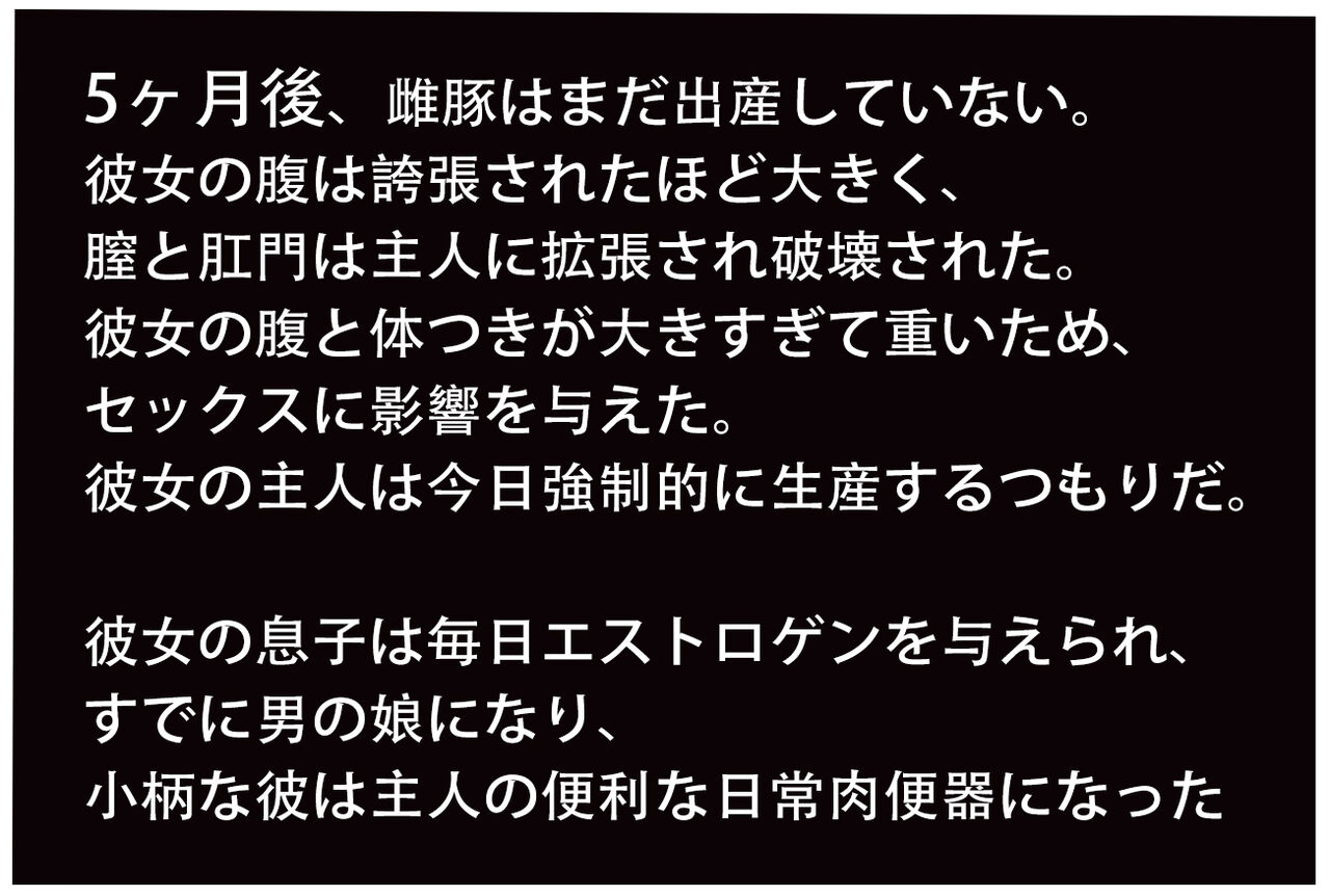 雌豚奴隷母,孕ませられる～後編 图片编号 12