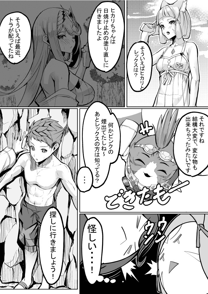 (C103) [Haraita Sangyou (Shiro Paka)] Tokonatsu no Seihai (Xenoblade Chronicles 2) image number 4