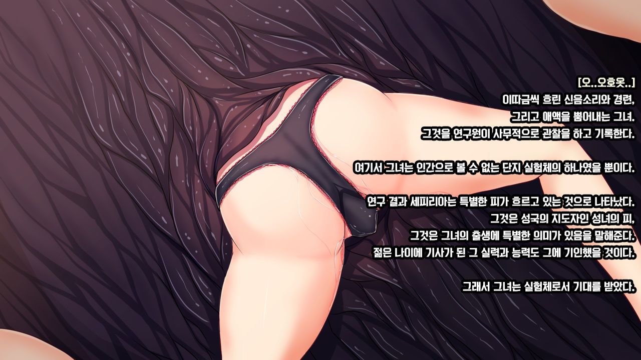 [Mousou Caution (Daiaru)] Senhime Bad Ending 1 -Cool Heroine Buzama Haiboku CG Shuu- [Korean] numero di immagine  85