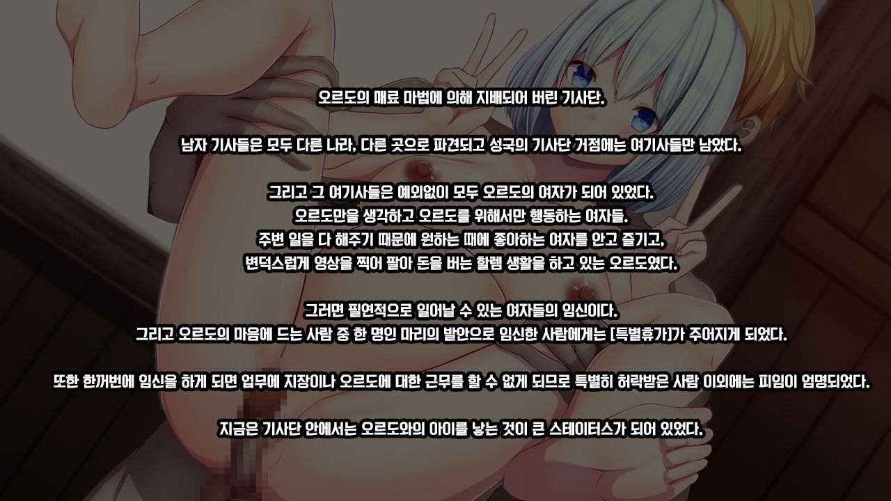 [Mousou Caution (Daiaru)] Senhime Bad Ending 1 -Cool Heroine Buzama Haiboku CG Shuu- [Korean] numero di immagine  115