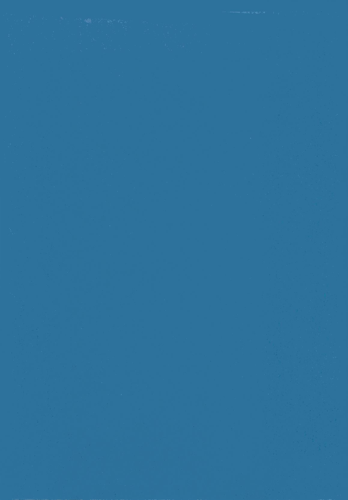 [L.Lime] Tamonzen Zigoku Rounin [Chinese] image number 3