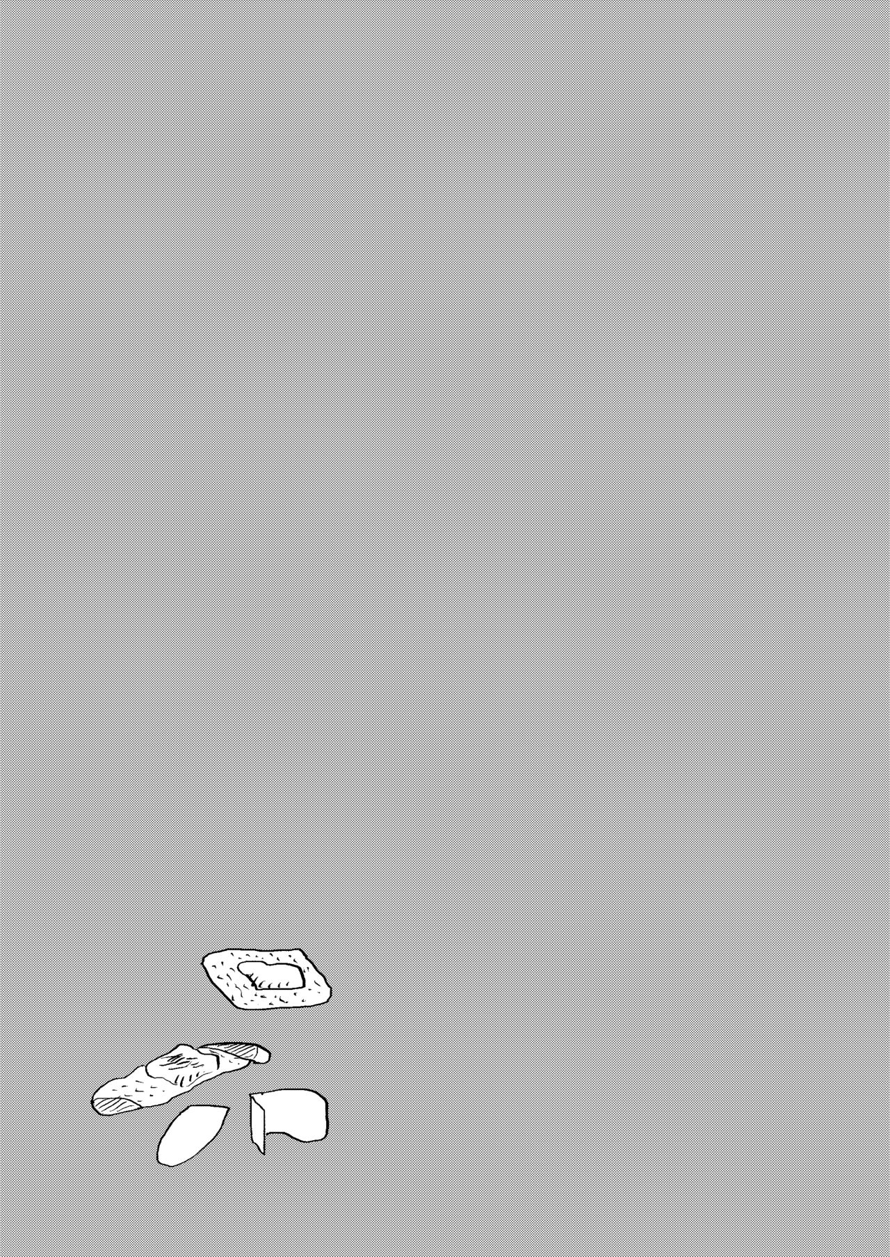 [HeyHey (Shohei)] Bulmaaaa - Sake to Namida to Gehin na Onna (Dragon Ball Z) [Digital] изображение № 7