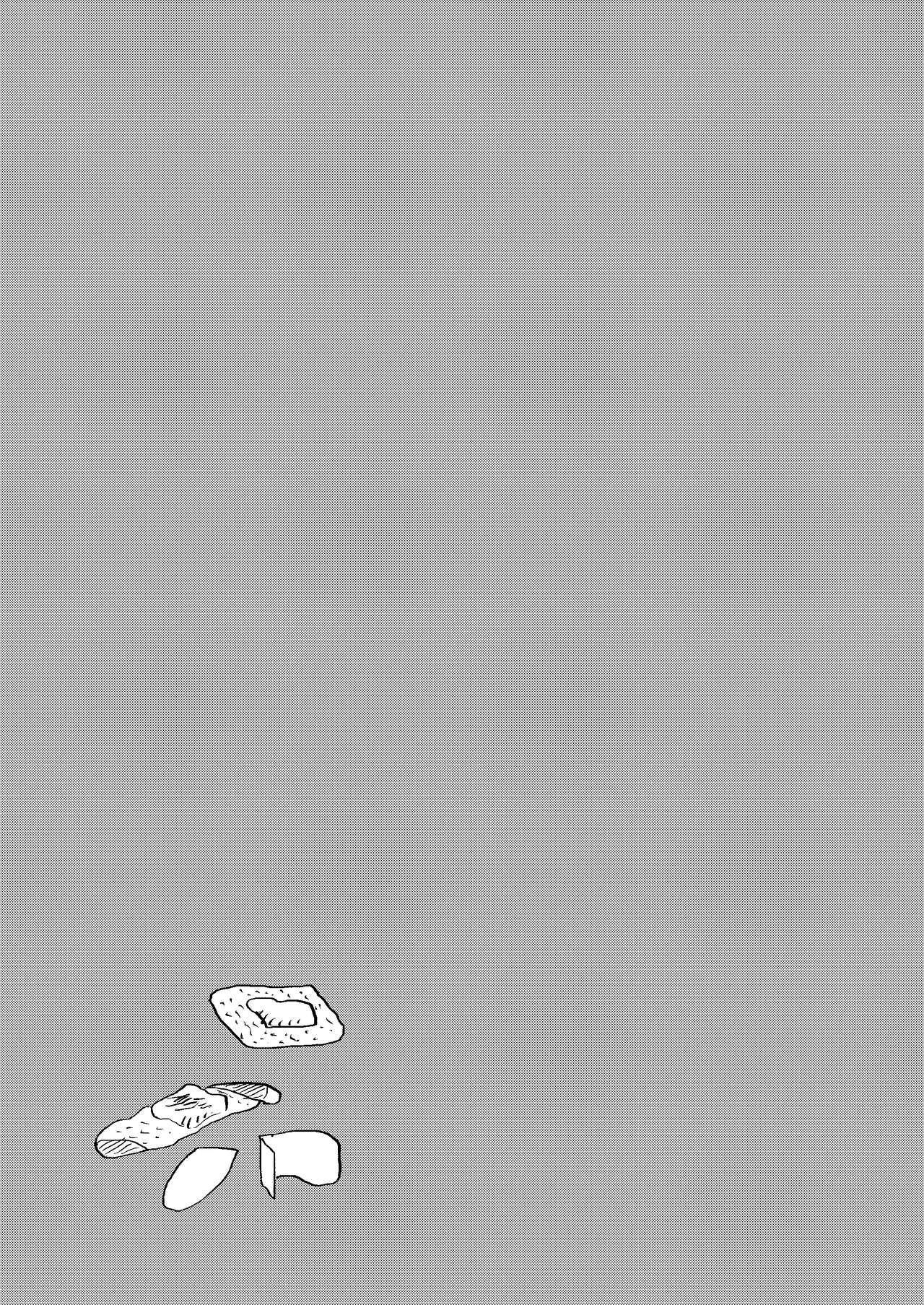 [HeyHey (Shohei)] Bulmaaa - Sake to Namida to Gehin na Onna (Dragon Ball Z) [Digital] [Chinese] Bildnummer 7