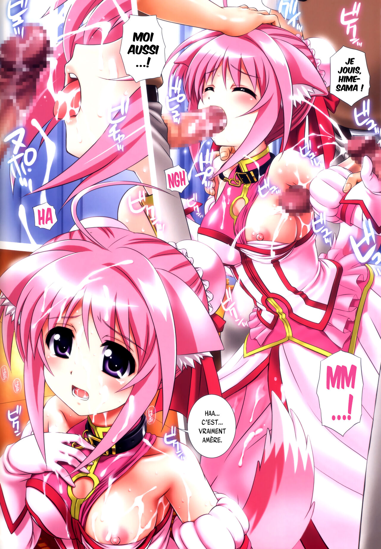 (SHT2011 Aki) [Kamogawaya (Kamogawa Tanuki)] DOG STYLE (DOG DAYS) [French] {SAXtrad} 画像番号 8