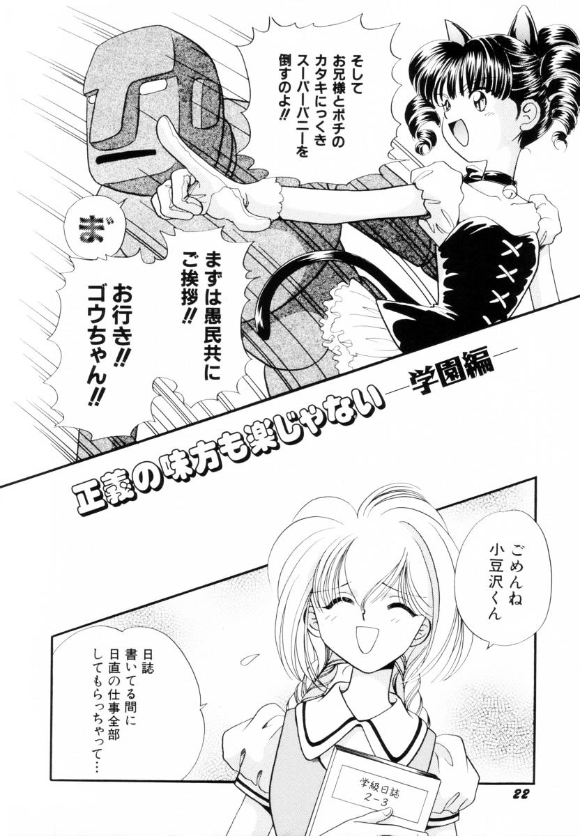 [Nagareboshi Hikaru] Seigi no Mikata mo Raku Janai 이미지 번호 25