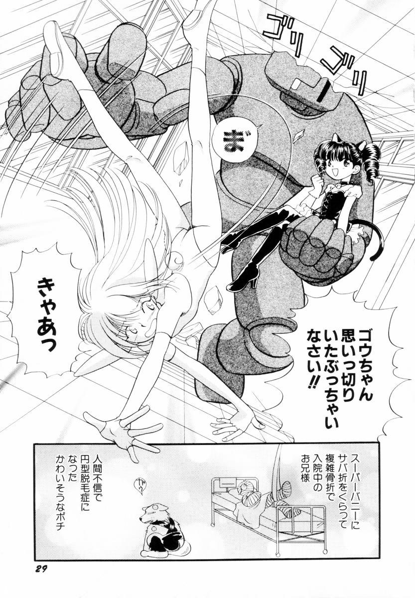 [Nagareboshi Hikaru] Seigi no Mikata mo Raku Janai 이미지 번호 32