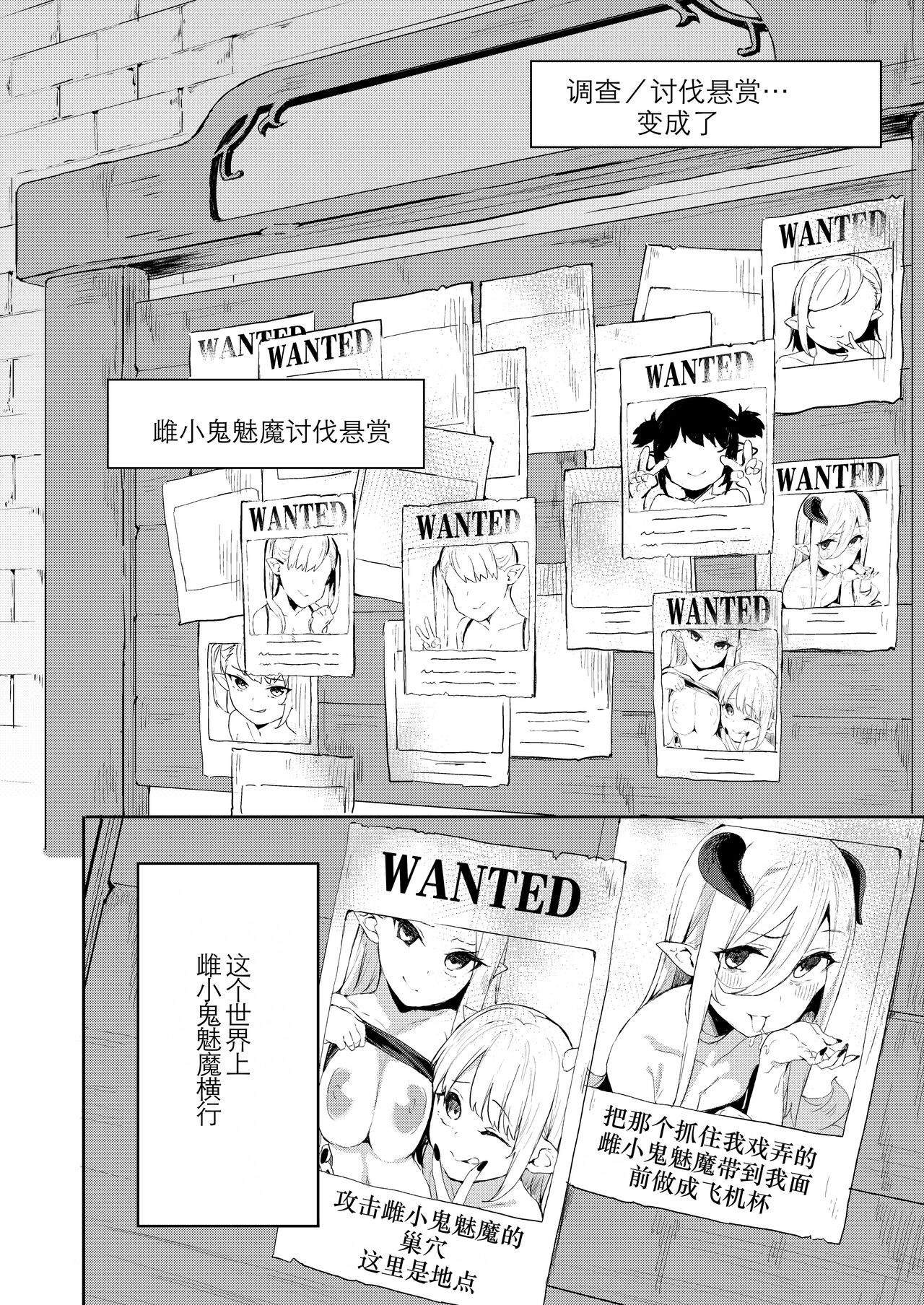 [Garimpeiro (Mame Denkyuu)] Isekai Mesugaki Succubus Kari Oji-san [Chinese] [Digital] 图片编号 14