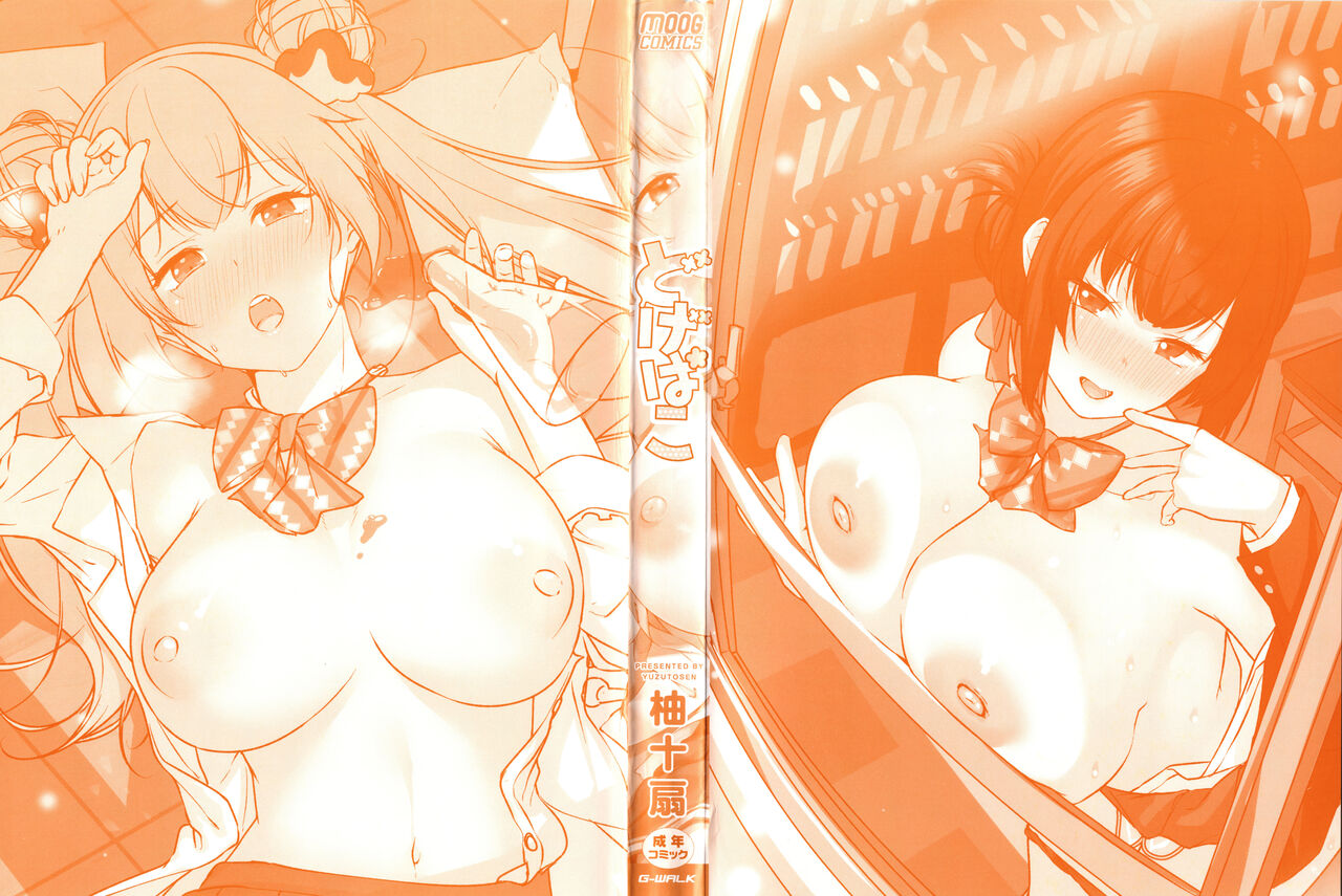 [Yuzuto Sen] Dogepako +  Toranoana Kounyuu Tokuten 8P Shousasshi | 도게파코 + 8P 소책자  [Korean] [냥선생] imagen número 2