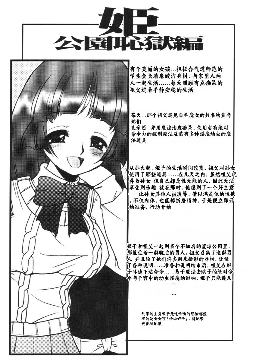 [Circle ENERGY] Hime Kouen Chigoku Hen - Kanzen Han [Chinese] [小梦个人汉化] 画像番号 2