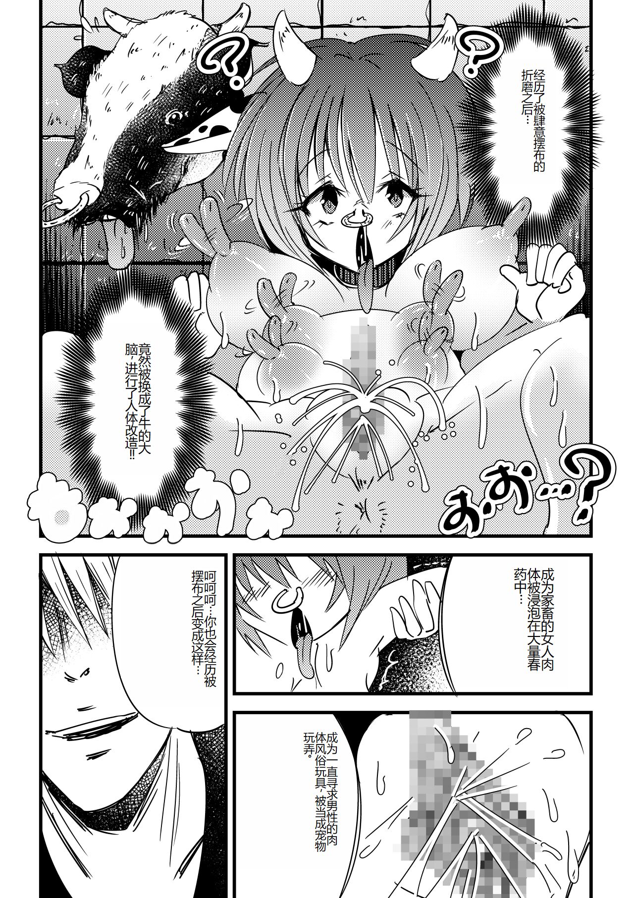 [NG.rabbit] Kyouran Niku Tenkan ~Osubuta ni Nottorareta Nyotai~ [Chinese] 图片编号 7