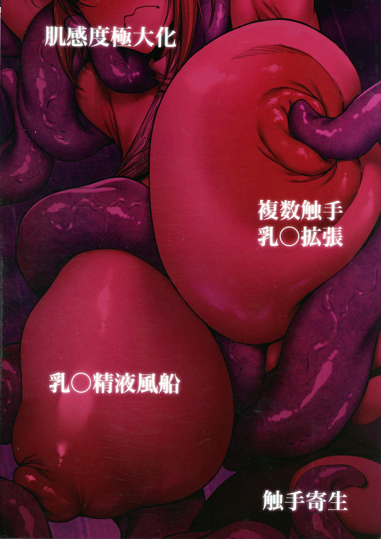 (C103) [F.W.ZHolic (FAN)] Otonari-san wa Yami Soshiki ni Nikutai Kaizou sareta Moto Seigi Sentai Member deshita 3 画像番号 2