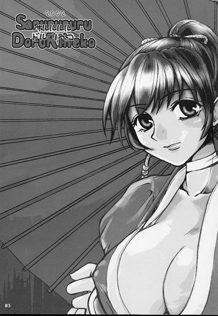 (CR32) [Sarurururu (Doru Riheko)] Rinne (Dead or Alive) 画像番号 3