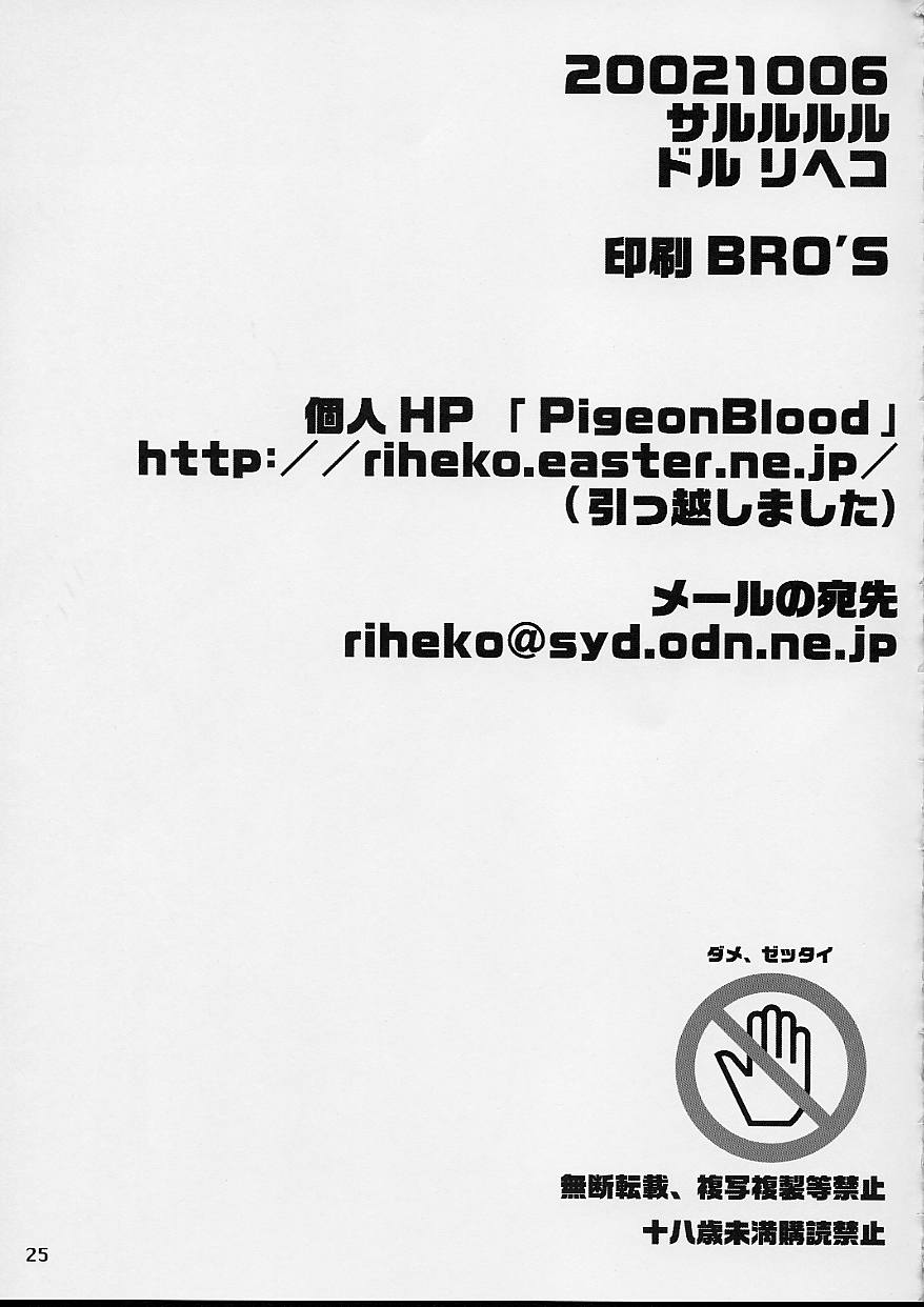 (CR32) [Sarurururu (Doru Riheko)] Rinne (Dead or Alive) 画像番号 25