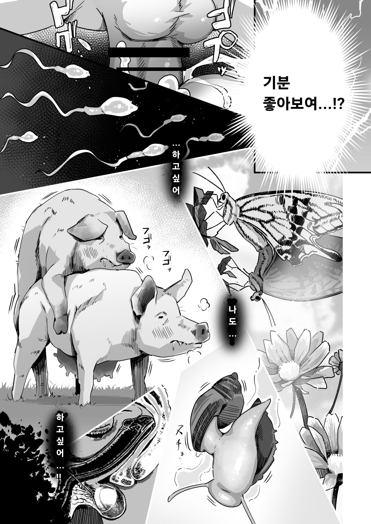 [Uniyaa (Ikinari Mojio)] Kyou no Jugyou wa, Chikyuujin no Hanshoku Katsudou no Kansatsu desu. - Today's lesson is observation of the breeding activities of earthlings.  [Korean] [Digital] image number 24