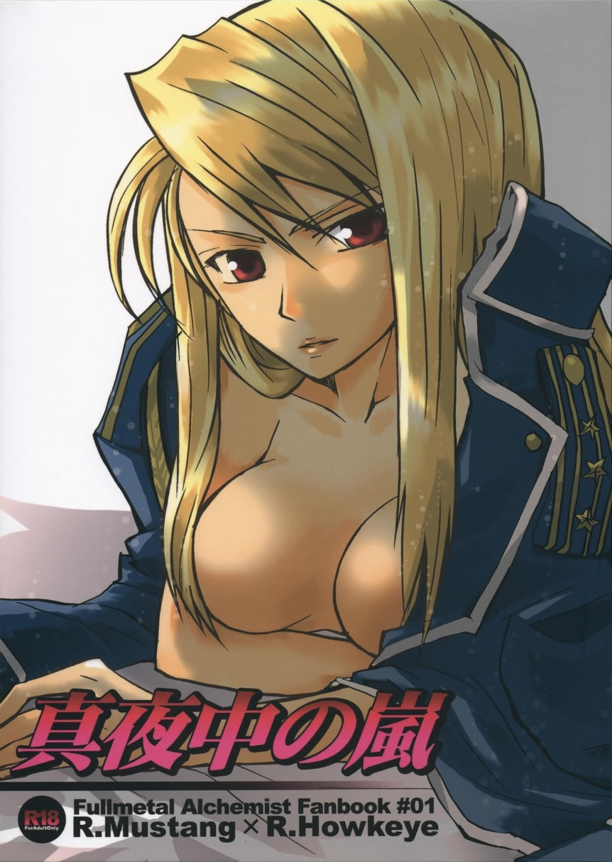 (SC25) [Ao Hana (Aoi Remi)] Mayonaka no Arashi (Fullmetal Alchemist) imagen número 1