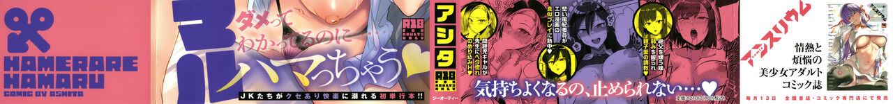 [Ashita] Hamerare x Hamaru numero di immagine  2