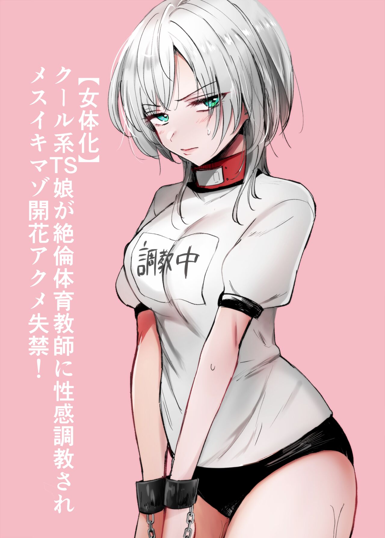 [Tetsukazuno Ao. (Emilio)] Cool-kei TS Musume ga Zetsurin Kyoushi ni Seikan Choukyou Sarete Mesuiki Maso Kaika Akume Shikkin Kairaku Ochi Ninshin suru Ohanashi [Chinese] première image