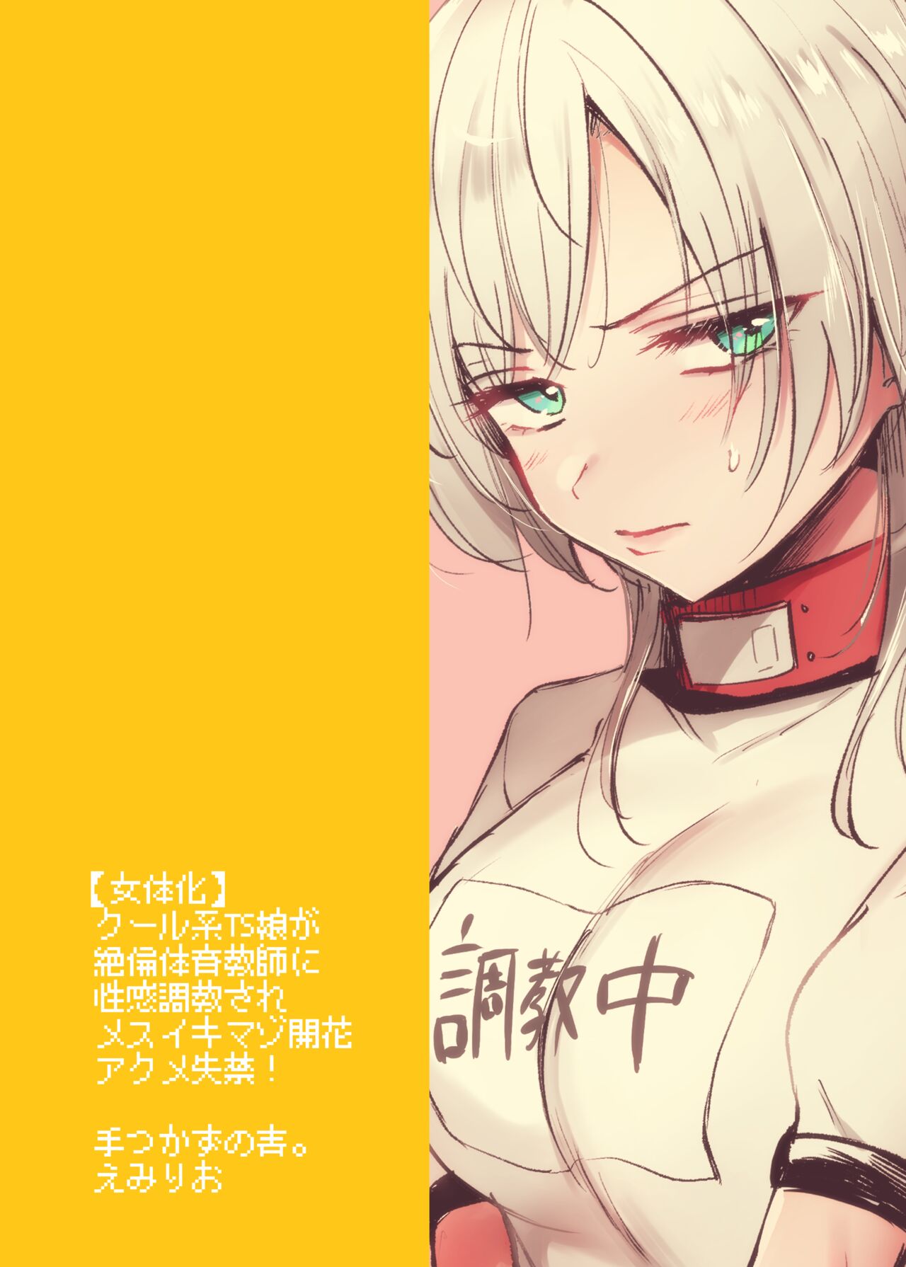 [Tetsukazuno Ao. (Emilio)] Cool-kei TS Musume ga Zetsurin Kyoushi ni Seikan Choukyou Sarete Mesuiki Maso Kaika Akume Shikkin Kairaku Ochi Ninshin suru Ohanashi [Chinese] 46eme image