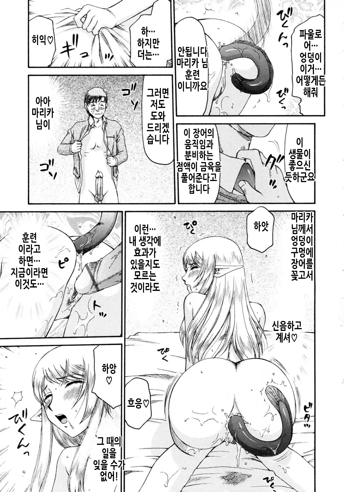 [Taira Hajime] Elf Kishi Marika Injoku Yuugi | 엘프기사 마리카 음욕유희 [Korean] 画像番号 84
