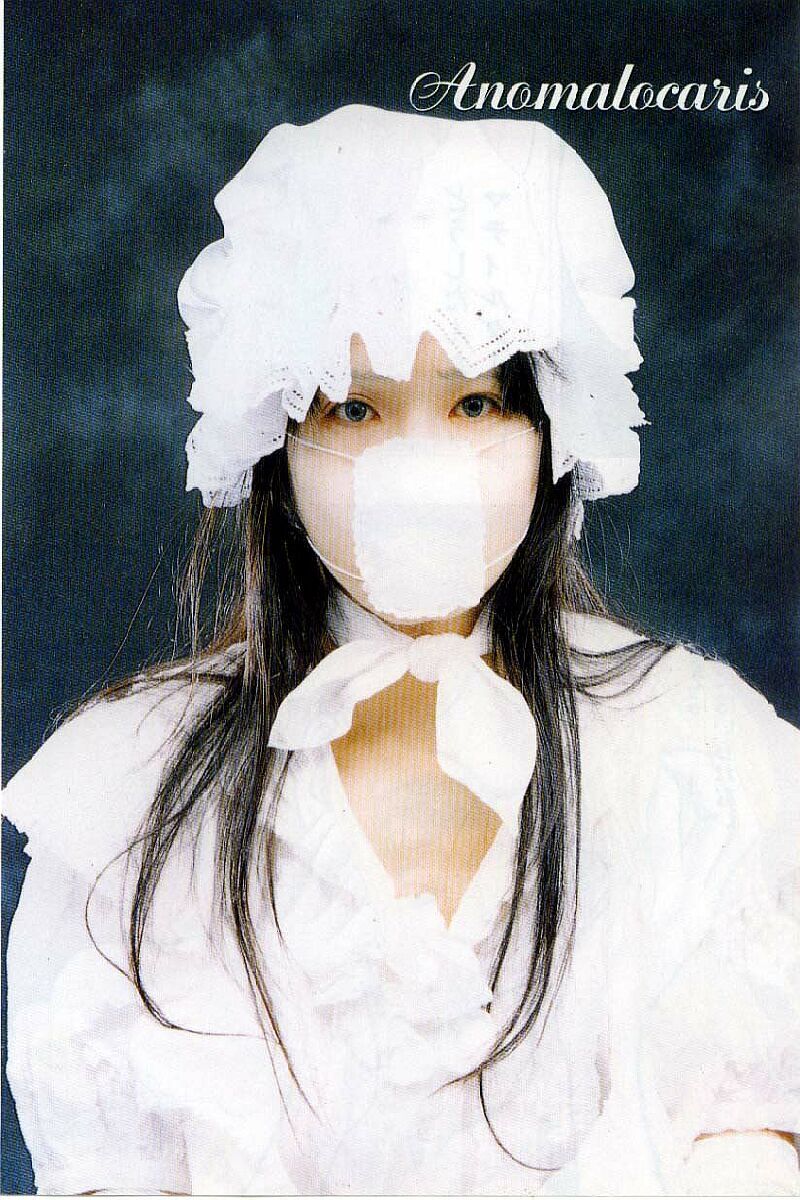 [Mukade Melibe] Burgess no Otome-tachi Waiwakushia no Akira [Chinese] imagen número 12