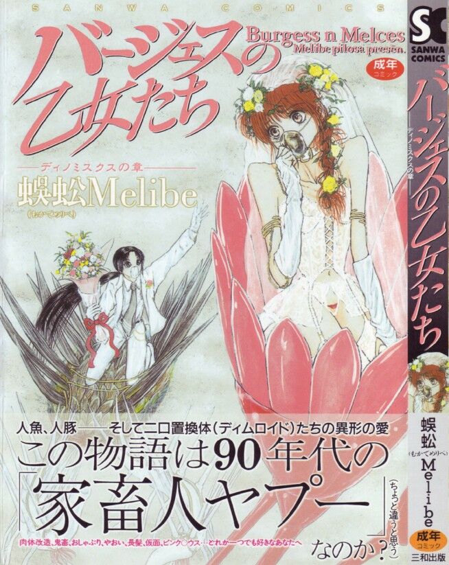 [Mukade Melibe] Burgess no Otome-tachi -Dinomiscus no Shou- [Chinese] 图片编号 1