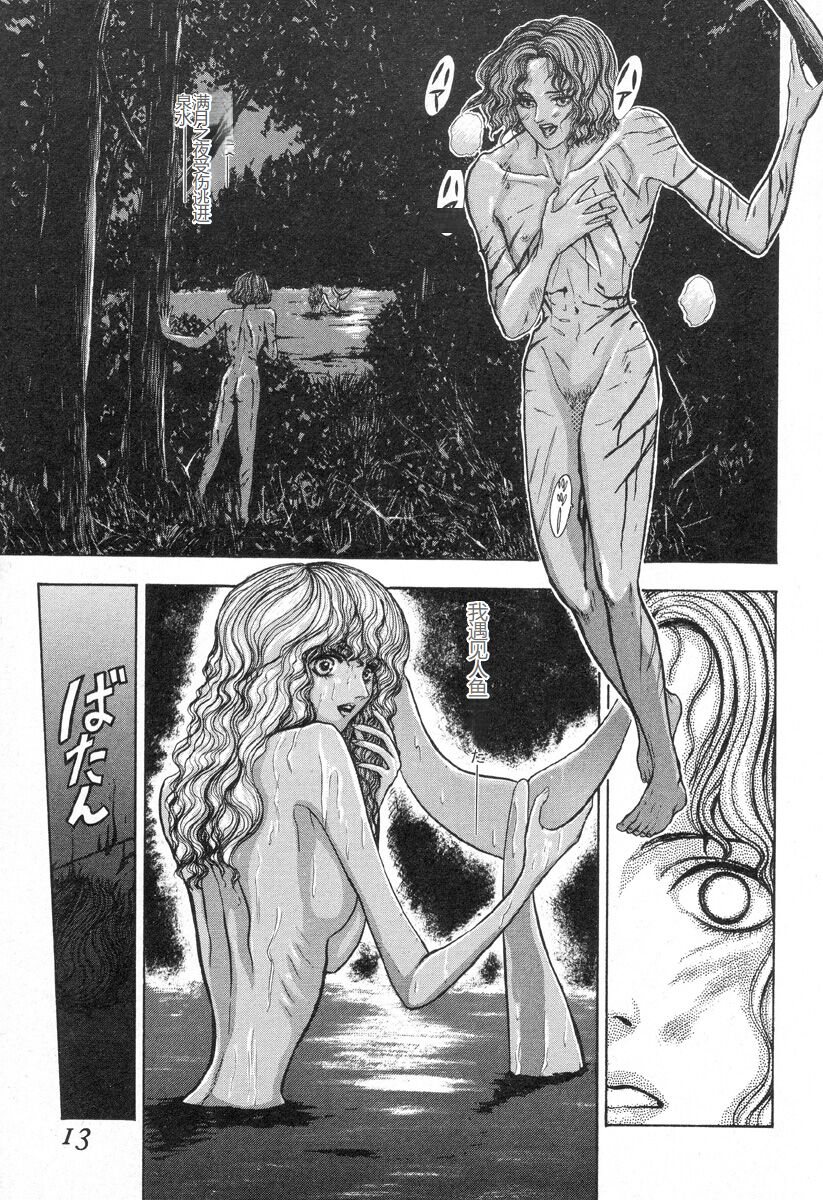 [Mukade Melibe] Burgess no Otome-tachi -Dinomiscus no Shou- [Chinese] 图片编号 12