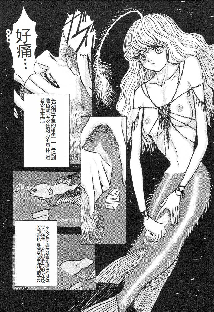 [Mukade Melibe] Burgess no Otome-tachi -Dinomiscus no Shou- [Chinese] 图片编号 89