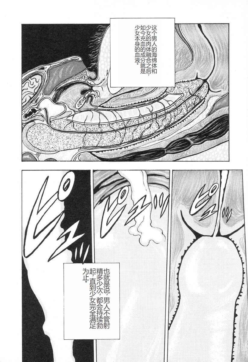 [Mukade Melibe] Burgess no Otome-tachi -Dinomiscus no Shou- [Chinese] 图片编号 91