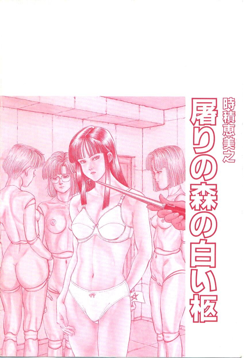 [Tokizumi Emishi] Hofuri no Mori no Shiroi Hitsugi [Chinese] 画像番号 6