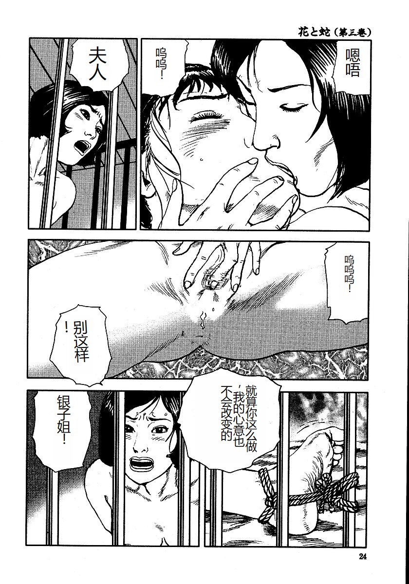 [Osada Kaname, Dan Oniroku] Hana to Hebi 3 [Chinese] 이미지 번호 29