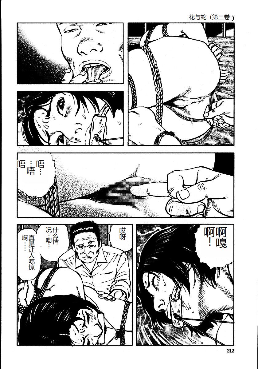 [Osada Kaname, Dan Oniroku] Hana to Hebi 3 [Chinese] 이미지 번호 217
