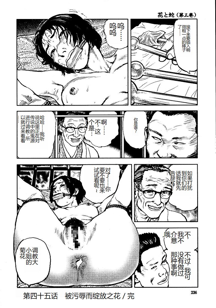 [Osada Kaname, Dan Oniroku] Hana to Hebi 3 [Chinese] 이미지 번호 241