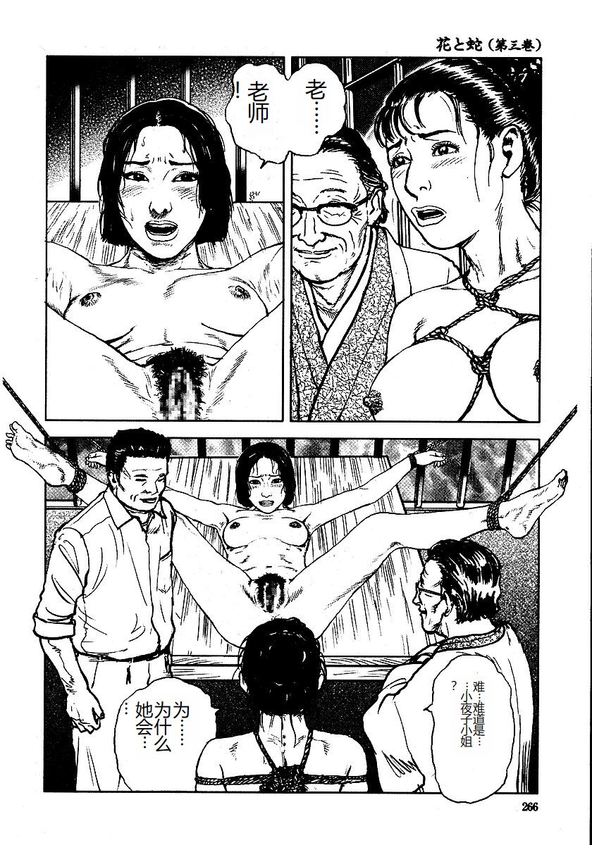 [Osada Kaname, Dan Oniroku] Hana to Hebi 3 [Chinese] 이미지 번호 271