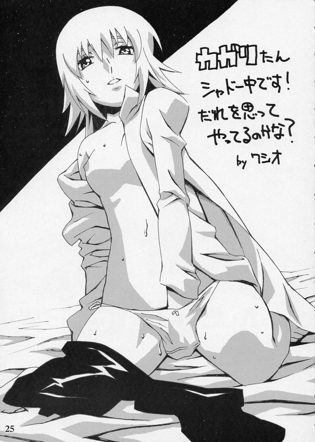 (C68) [RIKI] Chinderella (Gundam SEED DESTINY) 画像番号 24
