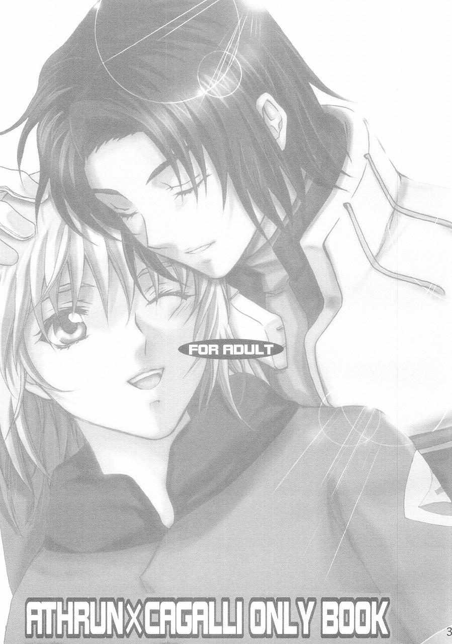 [Reongumi (Kaneda Reon)] Harete Koyoi wa. (Gundam SEED) image number 2