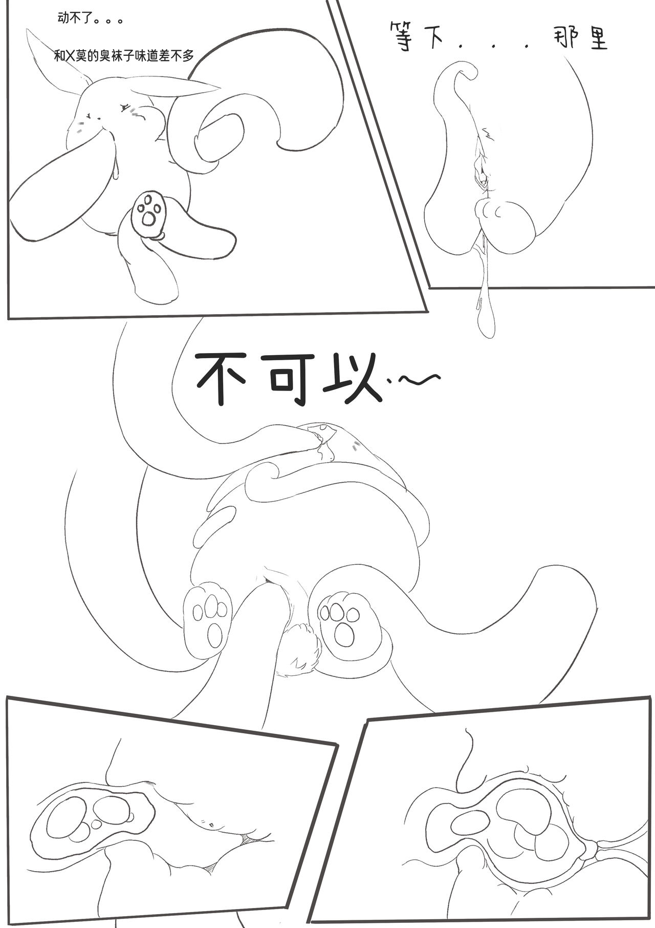 凯洛特的奇蛋之旅（chinese） image number 7