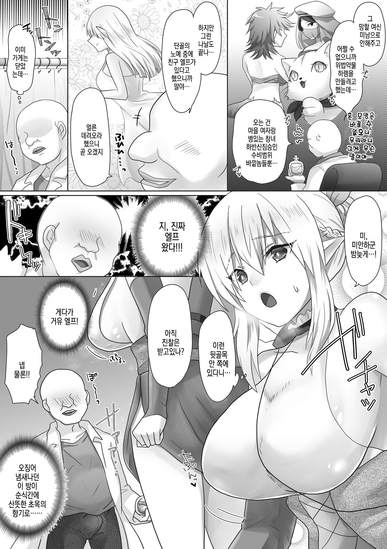 [Mofuya (Ashitaba Mofu)] Funin Elf-san, Isekai Fujinka de Haramase [korean] numero di immagine  11