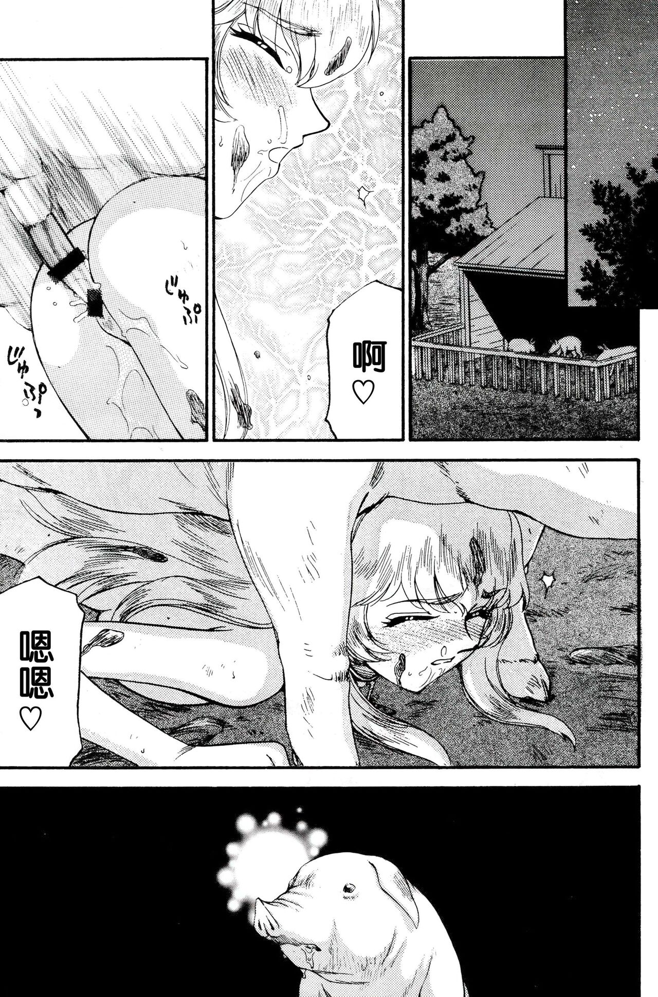 (C70) [LTM. (Taira Hajime)] Nise DRAGON BLOOD! 13 1/2. [Chinese] [WindSong个人汉化] 画像番号 17