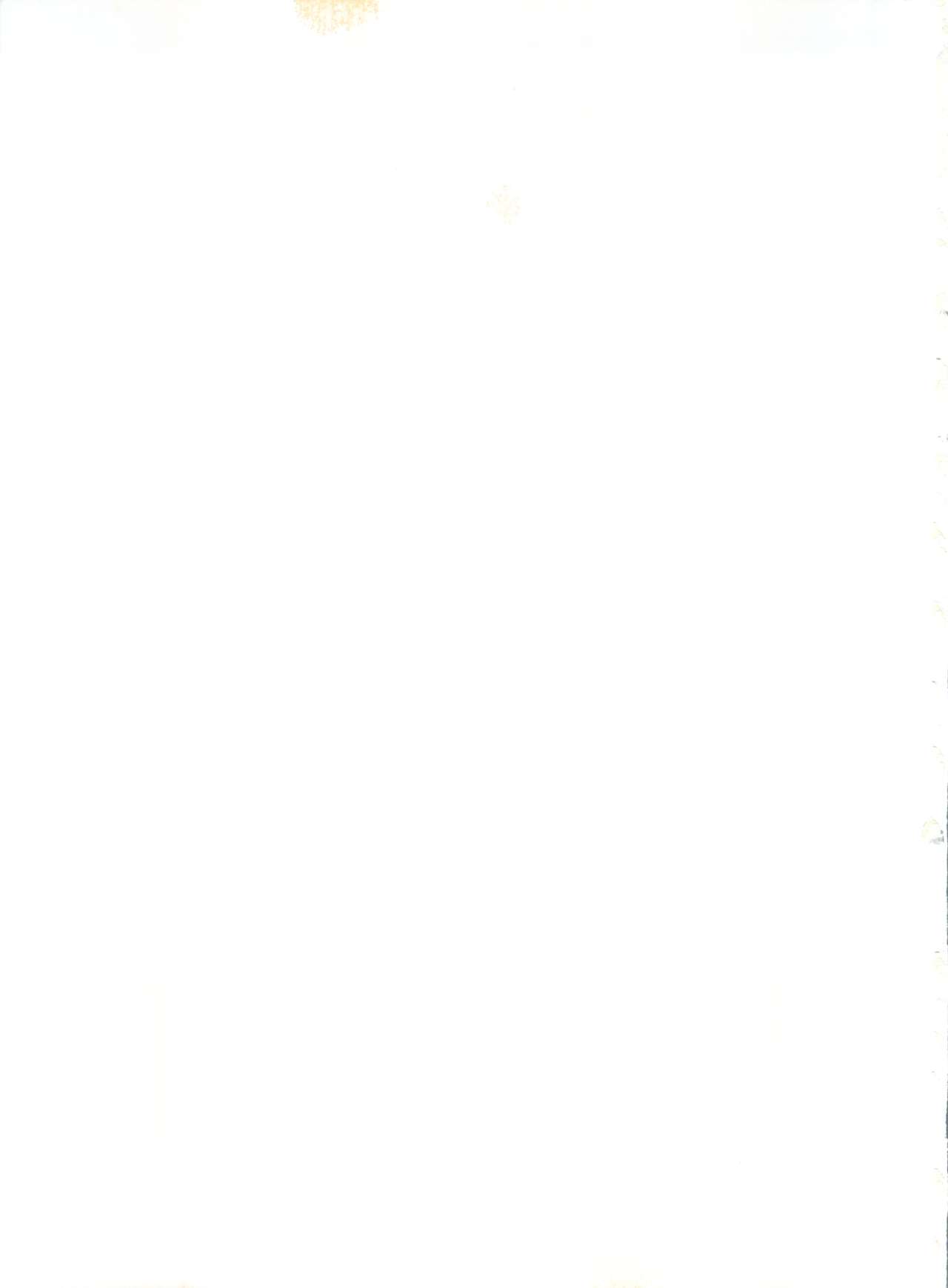 (C63) [Studio Katsudon (Manabe Jouji)] BARNETTE BOOK (Vandread) numero di immagine  35