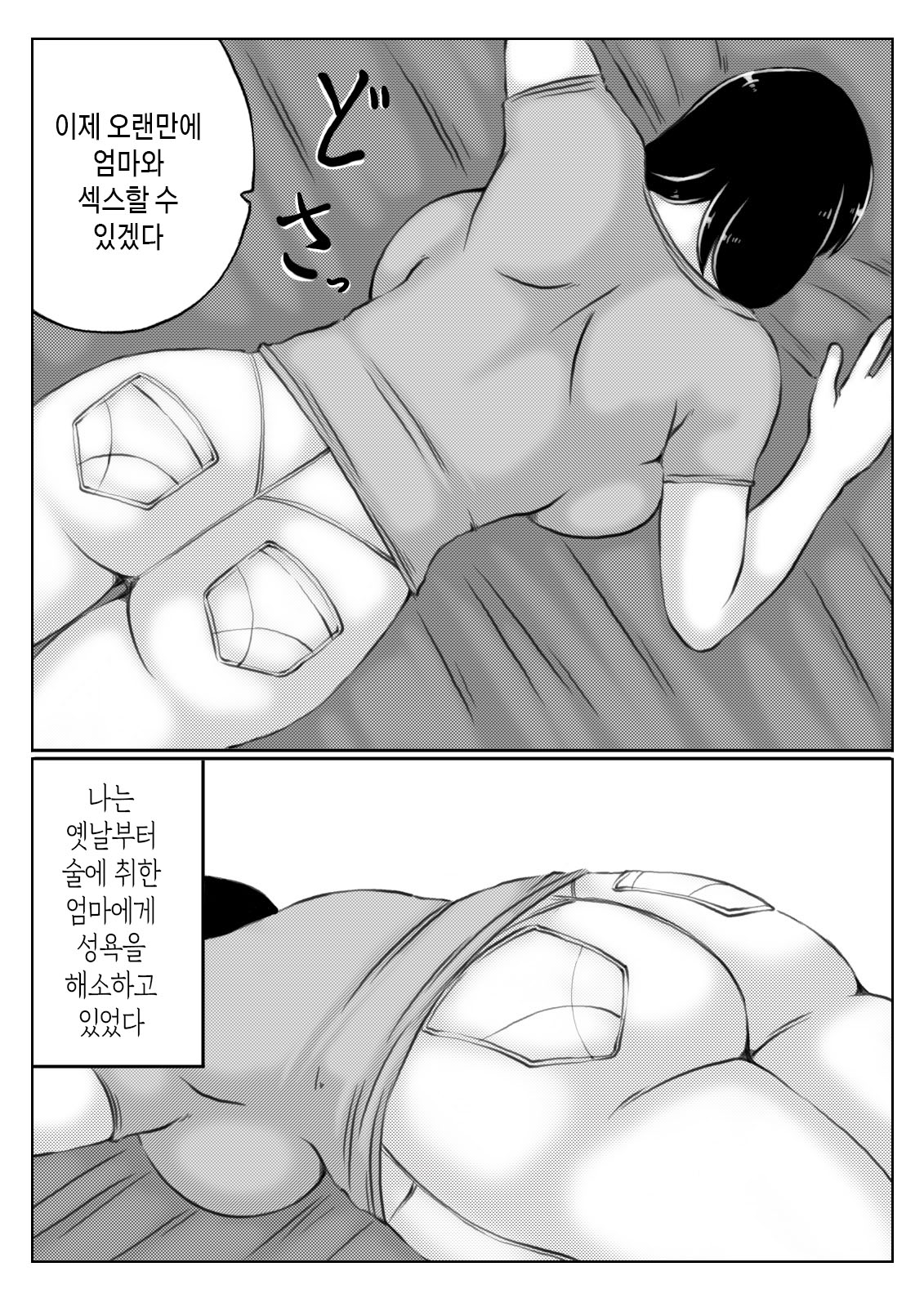 [Kirin Planet (Mankai Beesuke)] Haha to Sake to Musuko 1-2 / 엄마와 술과 아들 1~2[Korean][팀 숙녀] numero di immagine  5
