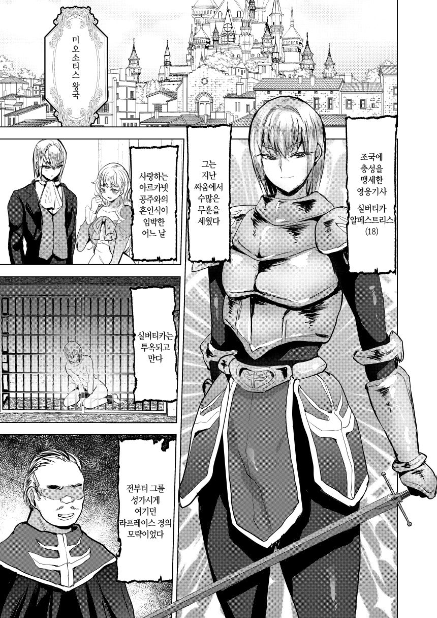 [Ani ga Saru (Takashi)] Eiyuu Kishi Mesu Otsu | 영웅기사 암컷타락 [Korean] Bildnummer 2