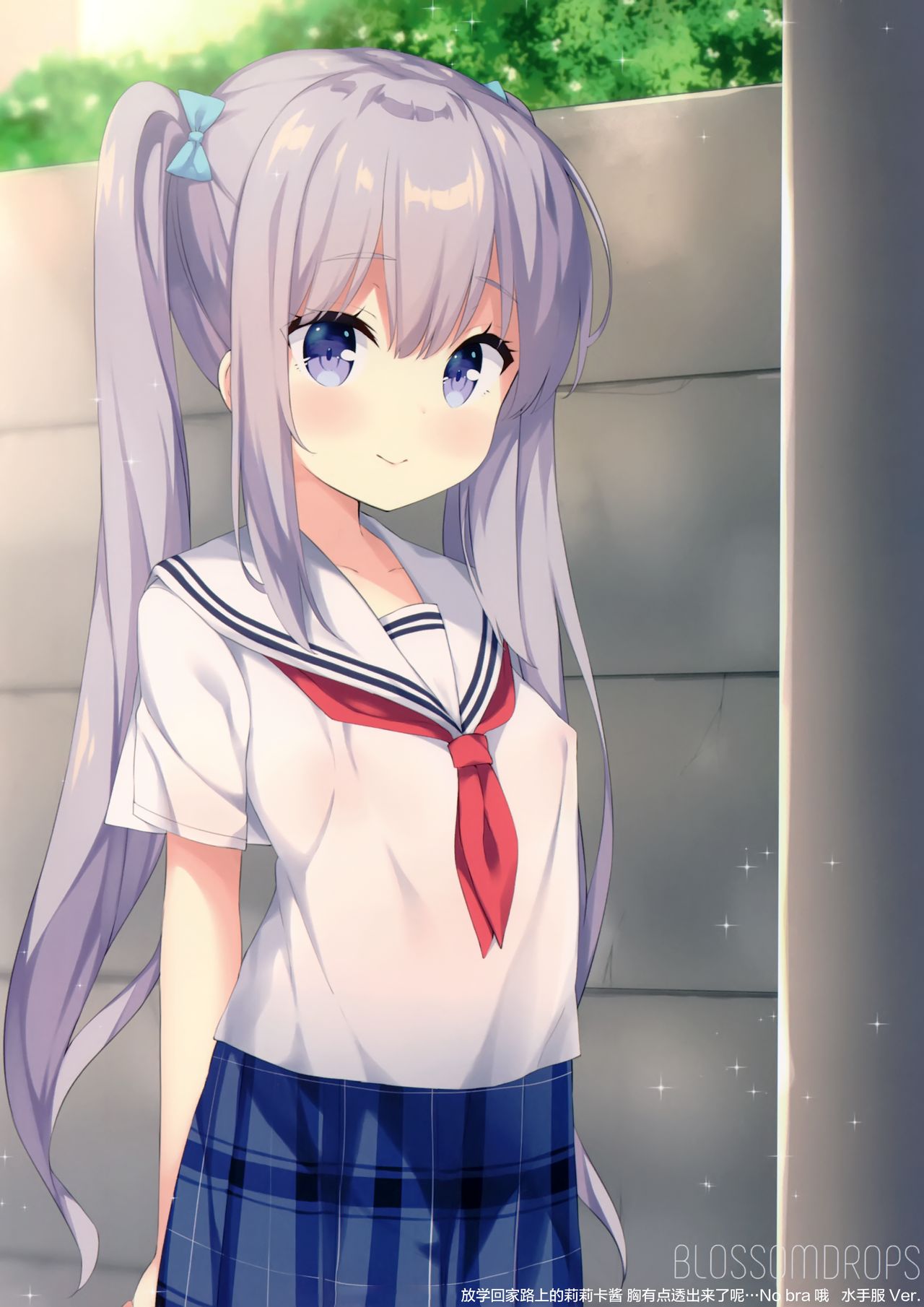 (C96) [croix crown (Mimura Zaja)] BLOSSOMDROPS [Chinese] [绅士仓库汉化] 图片编号 17