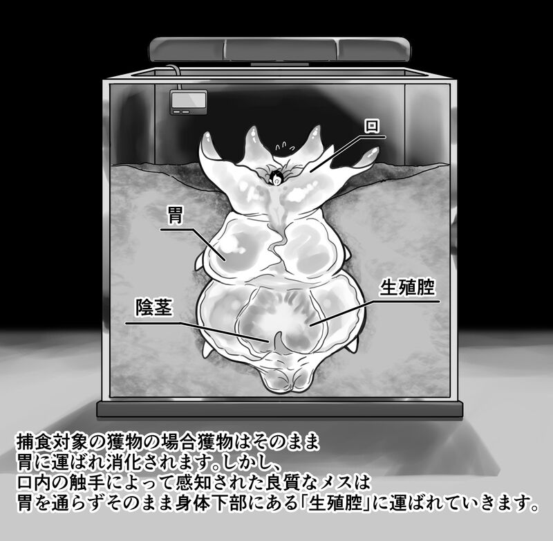 【衝撃】触手生物の巣穴にメスを入れてみた結果がヤバすぎた… 画像番号 15