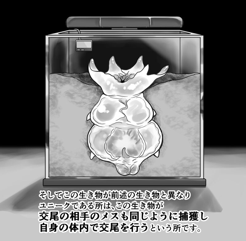 【衝撃】触手生物の巣穴にメスを入れてみた結果がヤバすぎた… 画像番号 19