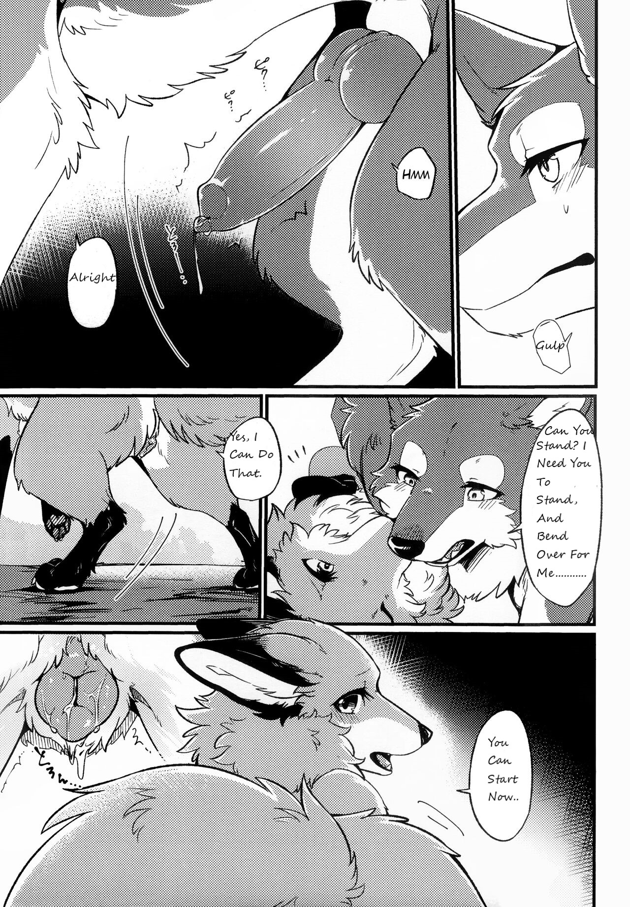(Furrymosa 5) [Kaiten ParaDOGs (Minaga Tsukune)] IN THE FOREST [English] [Decensored] 이미지 번호 6